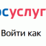 Портал Госуслуги отмечает 15-летие - РИА Пензенской области