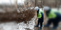 Во вторник на несколько часов ограничат движение по улице Зеленодольской в Пензе - Progorod58.Ru