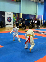 Восточные боевые единоборства в ДС «Олимпйиский»