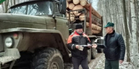 В Пензенской области за месяц в ходе операции «Лесовоз» составили 11 протоколов - Progorod58.Ru