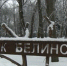 В парке Белинского покажут новогоднее театрализованное представление 29 декабря - ГТРК Пенза