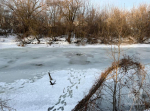На Суре девушка провалилась под лед