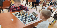 Стартовали финальные соревнования областного детского шахматного турнира «Волшебное королевство» - Комитет по физкультуре и спорту