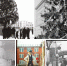 Новогодняя Пенза советских лет: ретро-фотографии из госархива - Stolica58.Ru