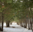 Фото: https://pnzreg.ru/ - Penza-Post.Ru