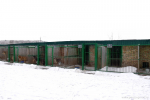 В Пензе отловили более 500 безнадзорных животных за 2024 год