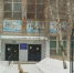 На улицах Никольска Пензенской области заметили лисицу - ПензаСМИ