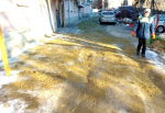Противогололедные мероприятия ведутся во всех районах города