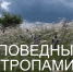 В Краеведческом музее откроется выставка «Заповедными тропами» - Министерство культуры