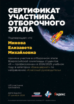 Продолжаем покорять этапы Всероссийской олимпиады «Я - профессионал»