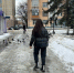 Коммунальные службы Пензы вывели на улицы города 120 единиц техники - Progorod58.Ru