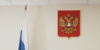 Житель Башмаковского района получил условный срок за кражу гусиного пуха - ПензаСМИ