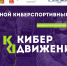 В Пензе пройдет киберспортивный турнир «Кибер движение» - Минспорт