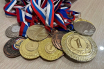 20 февраля в Городище пройдет турнир по городошному спорту