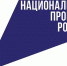 Пензенцы подали более 133 тысяч электронных заявлений на получение услуг - Пензенская Правда