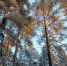 Фото: https://pnzreg.ru - Penza-Post.Ru