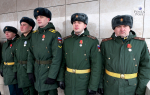 Праздничные мероприятия с участием Олега Мельниченко прошли в Пензе в честь Дня защитника Отечества. Фото, видео