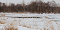 В Пензенскую область медленно идет тепло - ПензаСМИ