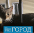 «Они для меня как дети»: умирающая старушка из Пензы просит о помощи - Progorod58.Ru