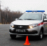 Фото: https://58.rosguard.gov.ru/ - Penza-Post.Ru