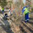 В Пензе начали весеннее благоустройство Заводского района - 1Pnz.Ru