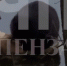 Бобры облюбовали набережную в Засечном - Stolica58.Ru