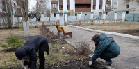 Продолжаются работы по уборке территорий в рамках месячника по благоустройству - Социальное управление