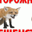 беш - Газета Сурские просторы