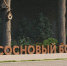 В Сердобске в «Сосновом бору» появятся скейт-площадка и велодорожки - Stolica58.Ru
