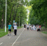 В Пензе на Тропе здоровья вновь ведутся ремонтные работы - Progorod58.Ru