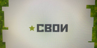 5,3 тыс. человек из Приволжья участвуют в проекте «Время героев» - РИА Пензенской области