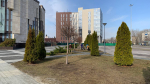 Сотрудники «Пензаконцерта» приняли участие в первом общегородском субботнике 2025 года
