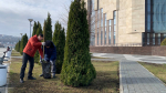 Сотрудники «Пензаконцерта» приняли участие в первом общегородском субботнике 2025 года