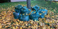 Денисов принял участие в субботнике - Progorod58.Ru