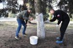 В Пензе состоялся общегородской субботник