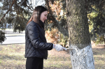 В Пензе состоялся общегородской субботник