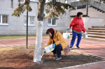 В Пензе состоялся общегородской субботник