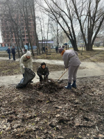 В Пензе состоялся общегородской субботник