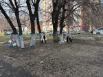 В Пензе состоялся общегородской субботник