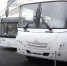 Пензенская область закупит у Беларуси 60 новых автобусов - 1Pnz.Ru