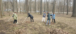 Работники учреждений культуры города Пензы приняли участие в городском субботнике