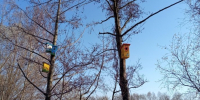 Во вторник в Пензенской области ожидаются порывы ветра до 25 м/с - SMI58.Ru