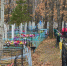 Фото: https://gorodkuzneck.ru - Penza-Post.Ru