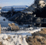 Фото: https://penza.sledcom.ru - Penza-Post.Ru