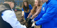 Студенты Кузнецка благоустраивают могилы ветеранов Великой Отечественной войны - Stolica58.Ru