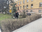 Сотрудники Министерства финансов Пензенской области приняли участие в субботнике