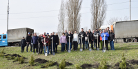 Пензенцы высадили 120 туй у монумента Глобус - Stolica58.Ru