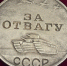 В Кузнецк передадут медаль «За отвагу» погибшего красноармейца - ПензаСМИ