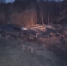 В Городищенском районе водитель погиб в ДТП с лосем - SMI58.Ru