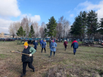 Дождь субботнику не помеха